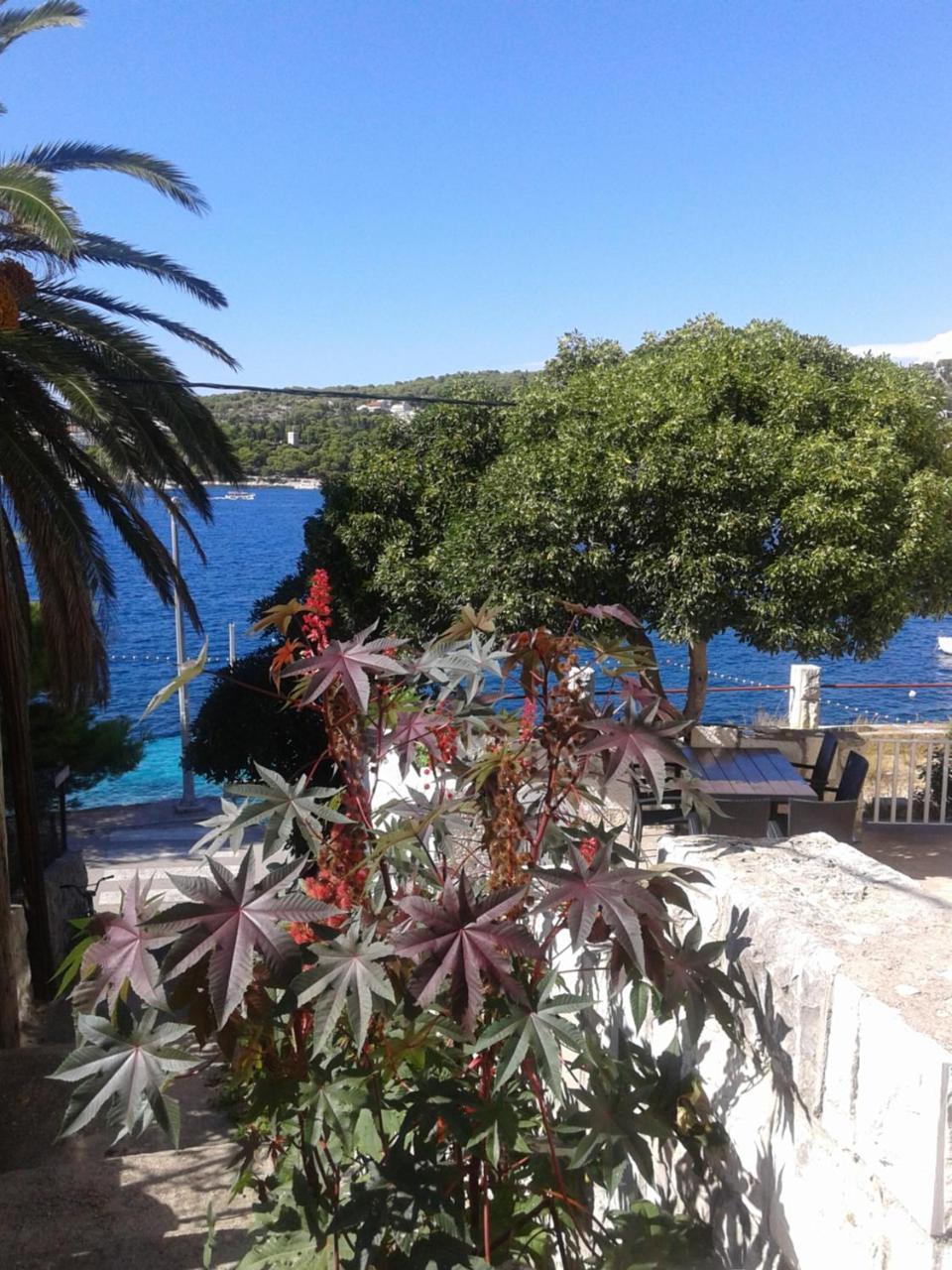 Apartman Radosic Hvar Town Exteriér fotografie